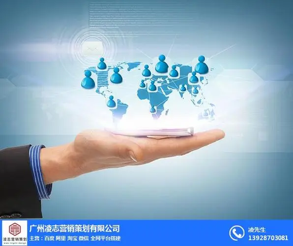 免费服务器租用海外服务器IP被封的有哪些原因